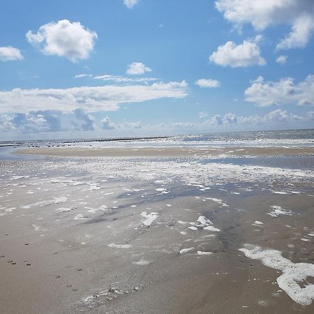 Romantisch Huisje Nabij Het Strand Met Uitzicht Op De Tulpenvelden Julianadorp Ngoại thất bức ảnh