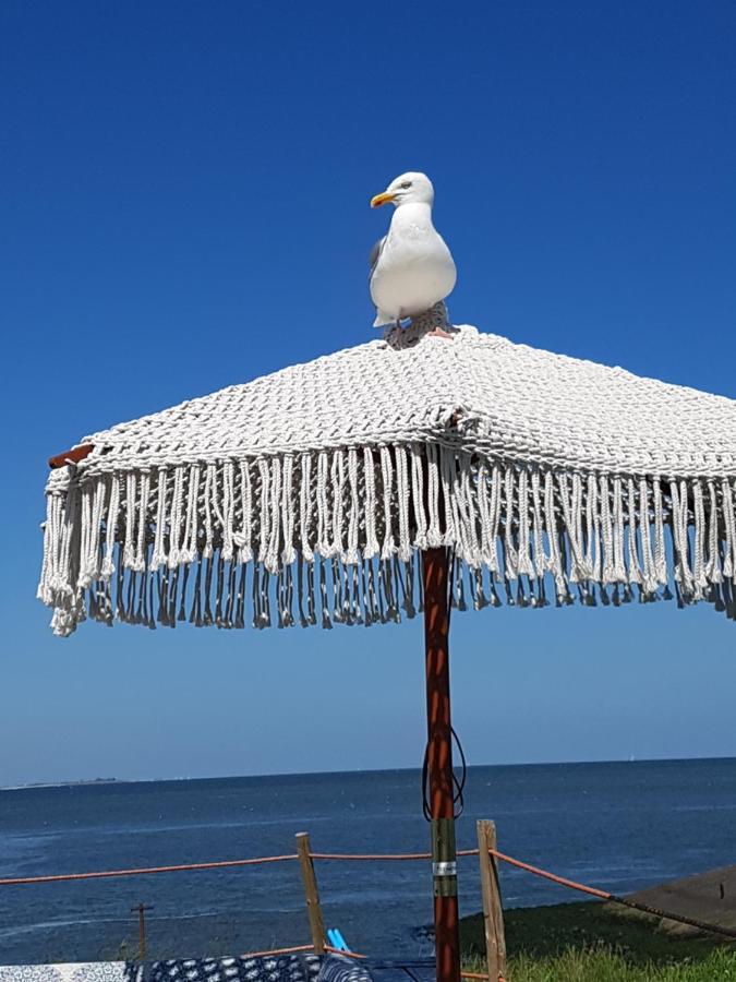 Romantisch Huisje Nabij Het Strand Met Uitzicht Op De Tulpenvelden Julianadorp Ngoại thất bức ảnh