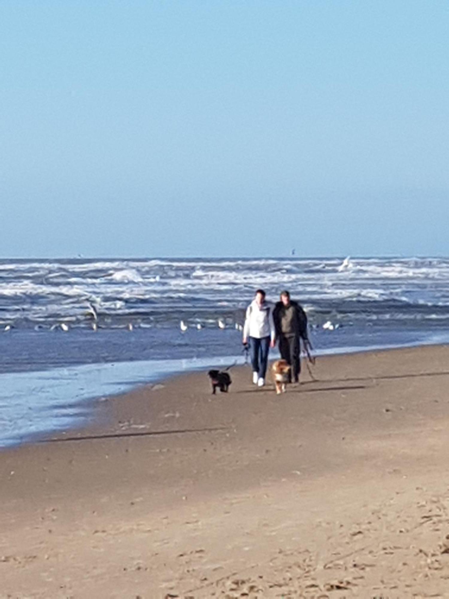 Romantisch Huisje Nabij Het Strand Met Uitzicht Op De Tulpenvelden Julianadorp Ngoại thất bức ảnh