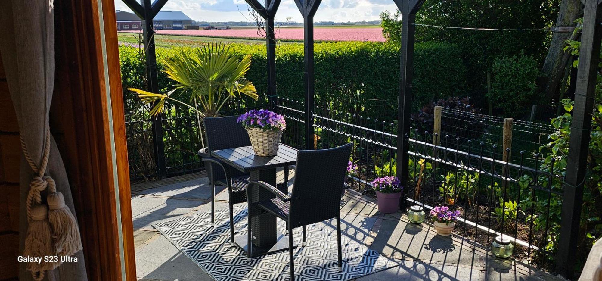Romantisch Huisje Nabij Het Strand Met Uitzicht Op De Tulpenvelden Julianadorp Ngoại thất bức ảnh