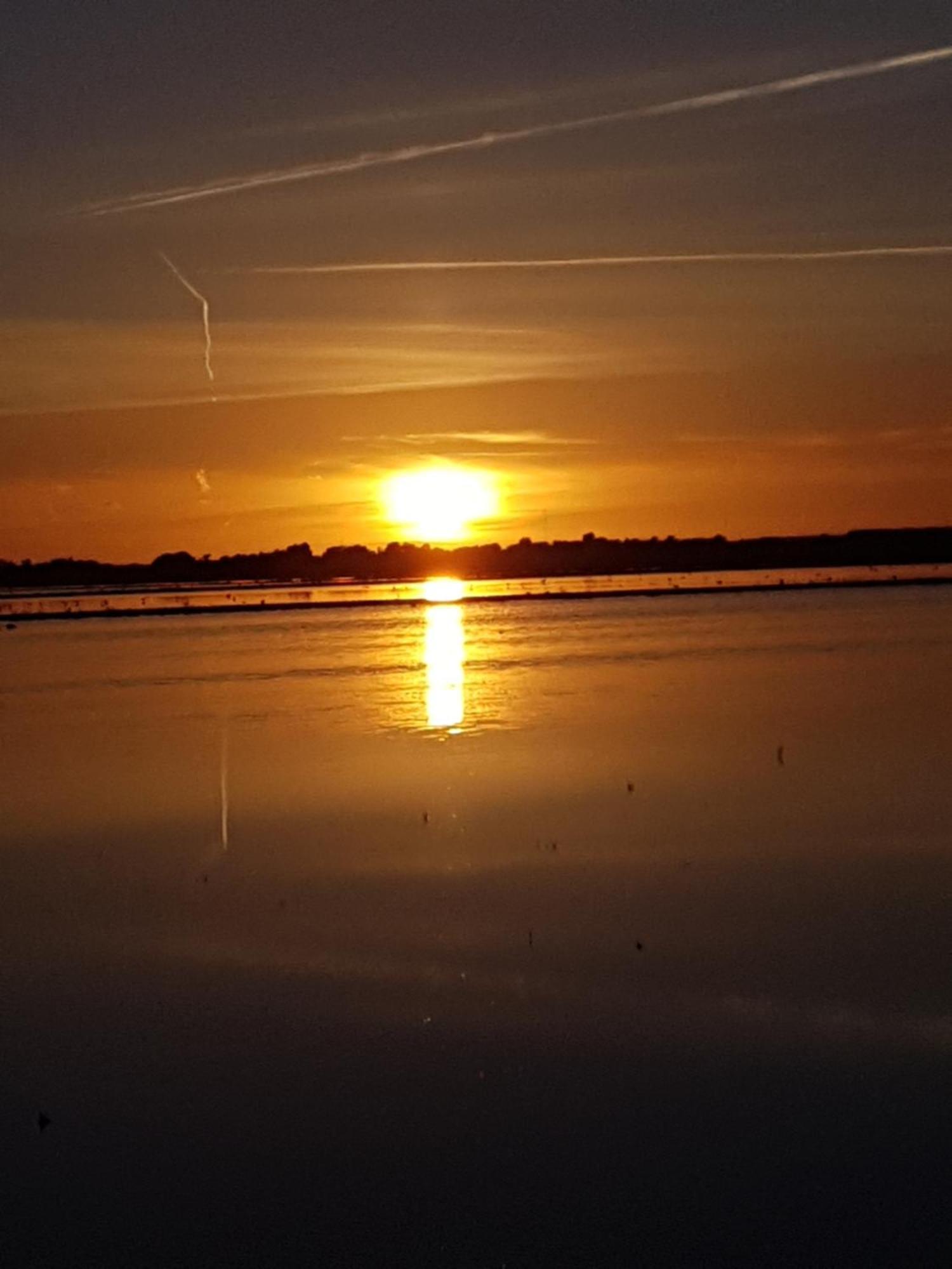 Romantisch Huisje Nabij Het Strand Met Uitzicht Op De Tulpenvelden Julianadorp Ngoại thất bức ảnh