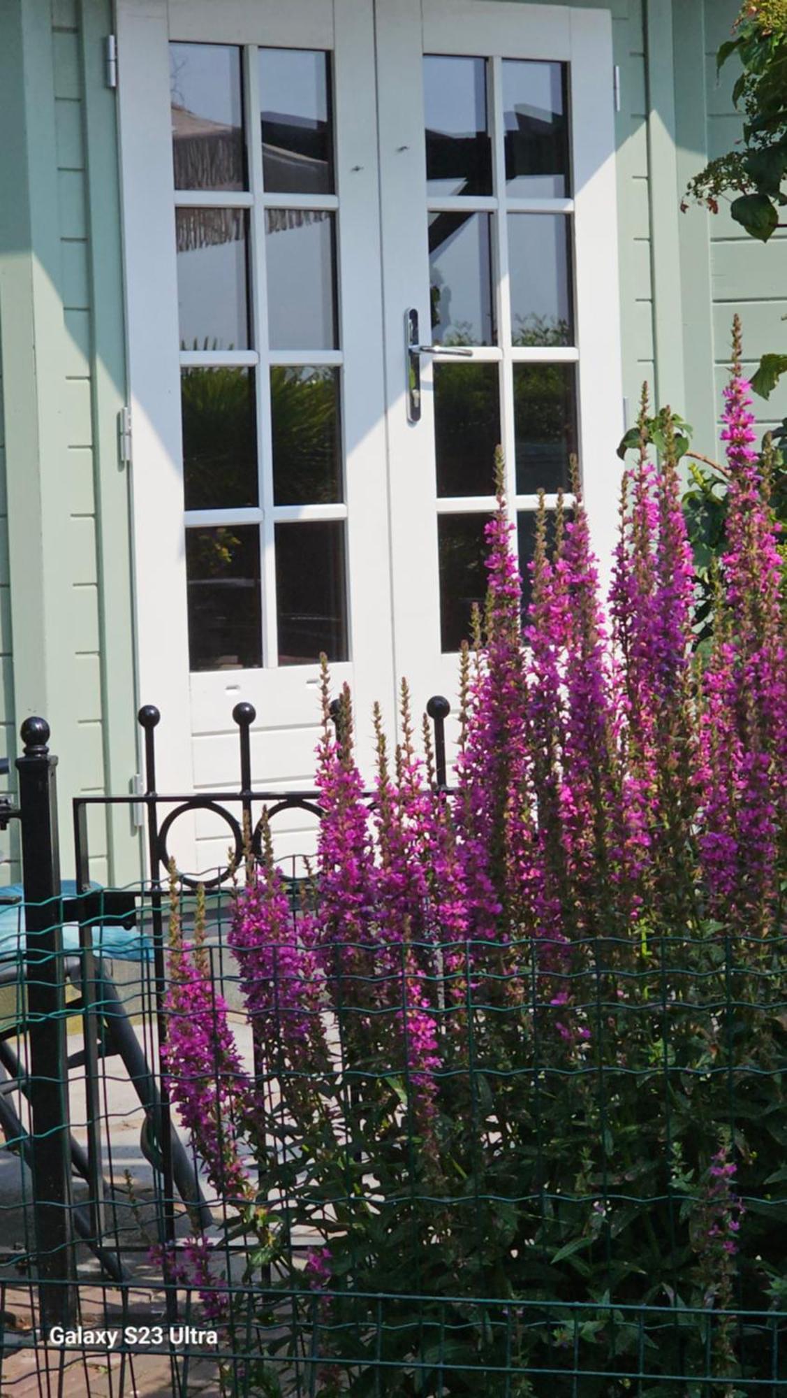 Romantisch Huisje Nabij Het Strand Met Uitzicht Op De Tulpenvelden Julianadorp Ngoại thất bức ảnh