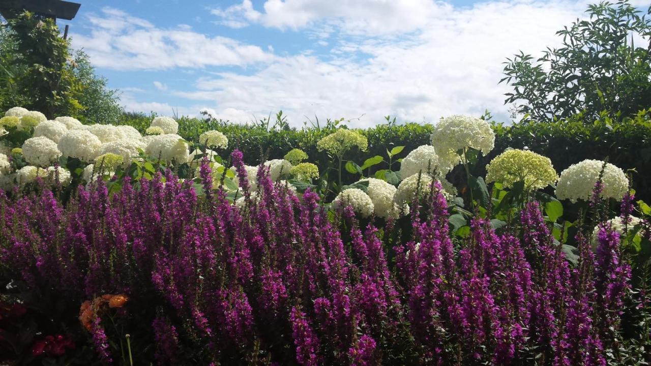 Romantisch Huisje Nabij Het Strand Met Uitzicht Op De Tulpenvelden Julianadorp Ngoại thất bức ảnh