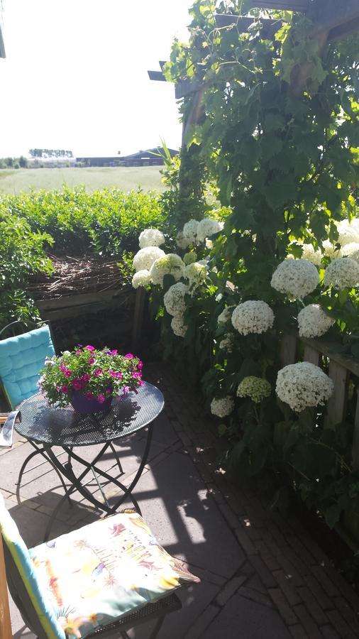 Romantisch Huisje Nabij Het Strand Met Uitzicht Op De Tulpenvelden Julianadorp Ngoại thất bức ảnh