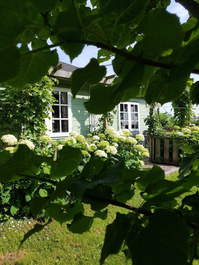 Romantisch Huisje Nabij Het Strand Met Uitzicht Op De Tulpenvelden Julianadorp Ngoại thất bức ảnh